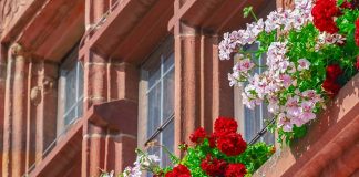 Wiek uczestników programu „Rodzina na Swoim” - nieruchomości dla osób w wieku od 18 do 35 lat!