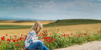 Wyjazdy na festiwale muzyczne