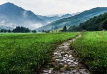 Pielgrzymki wakacyjne