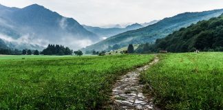 Pielgrzymki wakacyjne