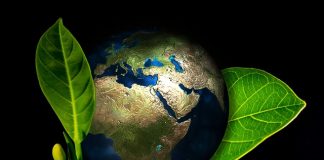 Polityka fiskalna i budżet państwa