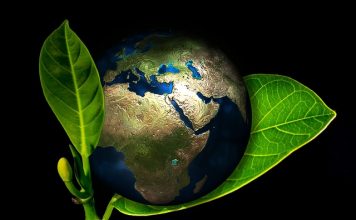 Polityka fiskalna i budżet państwa