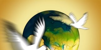 Wojna w Afganistanie - kto był zwycięzcą?