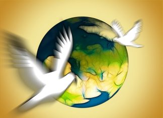 Wojna w Afganistanie - kto był zwycięzcą?