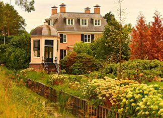 Konserwacja drzwi z drewna