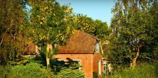 Wszystko na temat mieszkania w Szczecinie