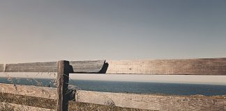 Lustra we wnętrzach