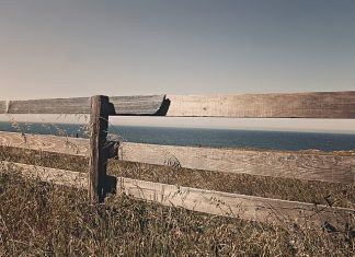 Lustra we wnętrzach