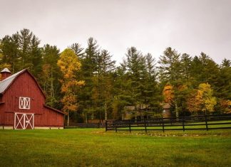 Czy warto wymienić okno?