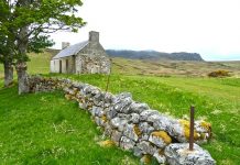 Pracownicy na budowie