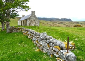 Pracownicy na budowie