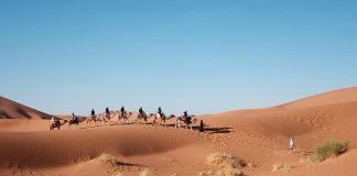 Jak rozwija się turystyka w Polsce