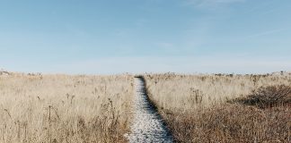 Kraków – najpopularniejszy polski cel turystyczny