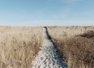 Kraków – najpopularniejszy polski cel turystyczny