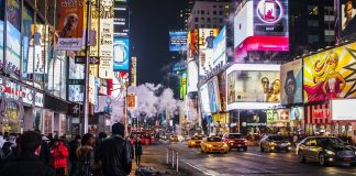 Profesjonalne firmy zajmujące się transportem