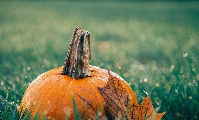 Ozdoby z dyni na Halloween halloween