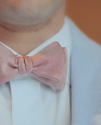 Skąd się biorą muszki w domu?