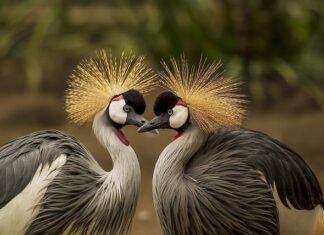 Kiedy zdejmujemy nakrycie głowy?