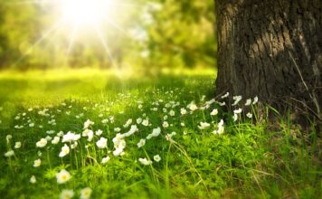 Czy białe torebki są modne?