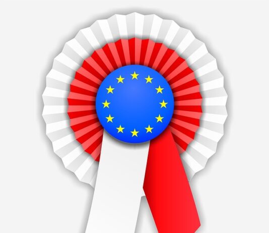 Z czego można zrobić kotylion?