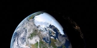 Do czego pasuje czarna marynarka damska?