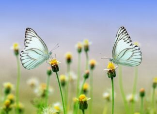 Co będzie modne na wiosnę lato 2023?