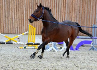 Czy getry są modne? Czy getry są modne?