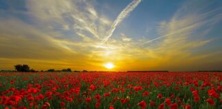 O co chodzi z czerwonymi butami?