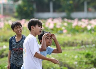 Co grozi za puszczanie lampionów? Co grozi za puszczanie lampionów?