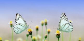 Jakie okrycia wierzchnie na wiosnę?