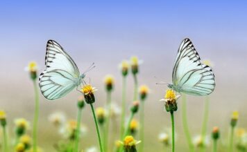 Jakie okrycia wierzchnie na wiosnę?