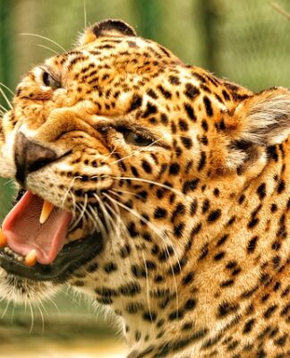 Czy da się uratować zbity puch w kurtce?