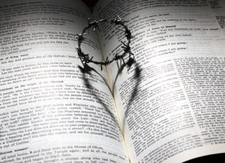 Co można podać gościom w piątek?