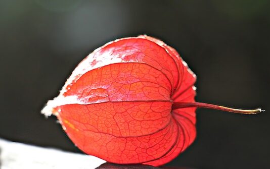 Jak samemu zrobić lampion?