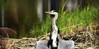 Czy można suszyć kurtki w suszarce?