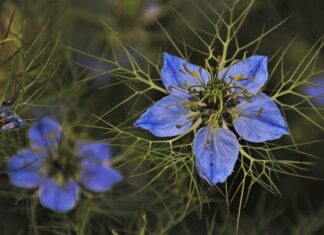 Jakie buty i żakiet do zielonej sukienki?