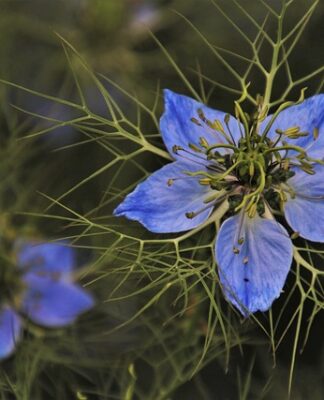 Jakie buty i żakiet do zielonej sukienki?