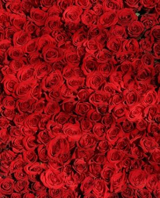 Kto nosi czerwone buty?