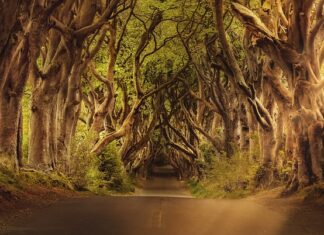 Jak zrobić wiejski kociołek? Jak zrobić wiejski kociołek?