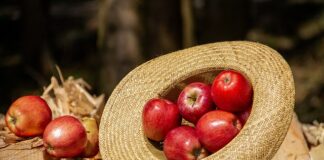 Do czego nosić kapelusz kowbojski?