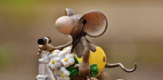 Jak podpisać kartkę dla Młodej Pary?