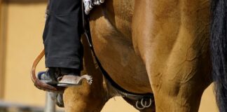 Kiedy nie zakładać majtek?