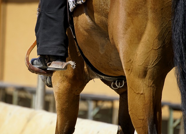 Kiedy nie zakładać majtek? Kiedy nie zakładać majtek?