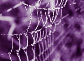 Jak sprawdzić czy produkt jest oryginalny? Jak sprawdzić czy produkt jest oryginalny?