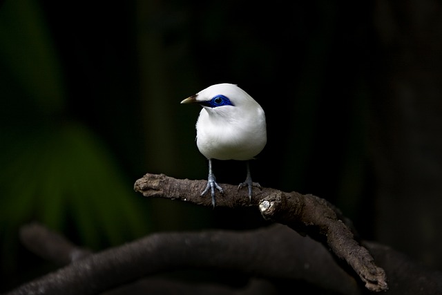 Czy białe buty pasują do czarnej kurtki? Czy białe buty pasują do czarnej kurtki?
