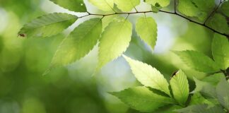 Czego życzyć państwu młodym?