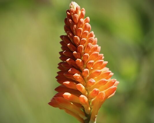 Jakie kozaki kupić?