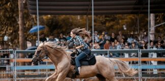 Która z postaci była samotnym kowbojem?