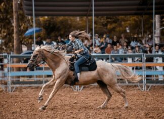 Która z postaci była samotnym kowbojem?