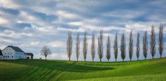 Jakie są modne kolory kurtek zimowych?